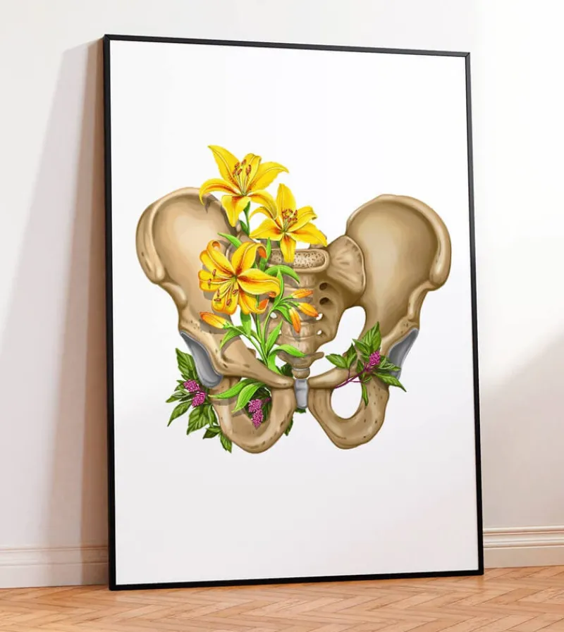 Codex Anatomicus Skull & Skeleton^Male pelvis anatomy - Floral - White
