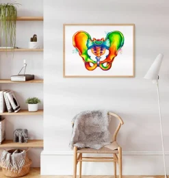 Codex Anatomicus Skull & Skeleton^Male pelvis anatomy - Watercolor splash