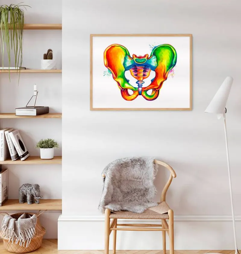 Codex Anatomicus Skull & Skeleton^Male pelvis anatomy - Watercolor splash
