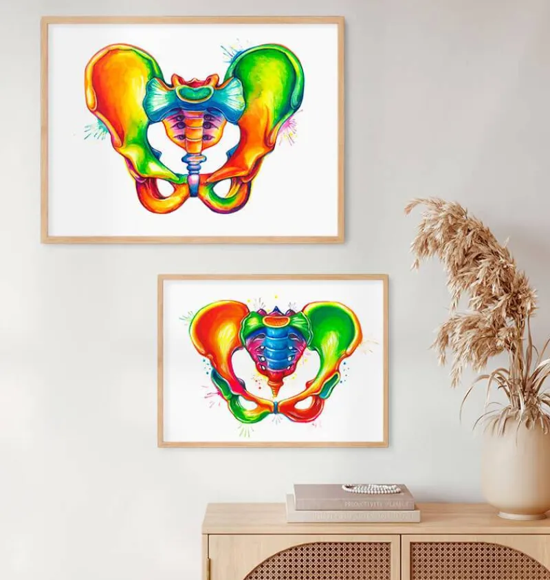 Codex Anatomicus Skull & Skeleton^Male pelvis anatomy - Watercolor splash