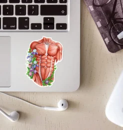 Codex Anatomicus Stickers^Male torso anatomy sticker - Floral