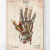 Codex Anatomicus Hands & Legs^Mechanical hand blueprint
