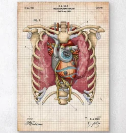 Codex Anatomicus Heart Anatomy^Mechanical heart blueprint II