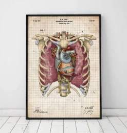 Codex Anatomicus Heart Anatomy^Mechanical heart blueprint II