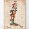 Codex Anatomicus Hands & Legs^Mechanical leg blueprint