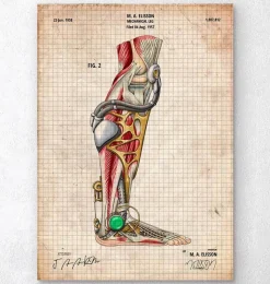 Codex Anatomicus Hands & Legs^Mechanical leg blueprint