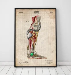 Codex Anatomicus Hands & Legs^Mechanical leg blueprint