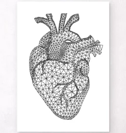 Codex Anatomicus Heart Anatomy^Minimal geometric heart