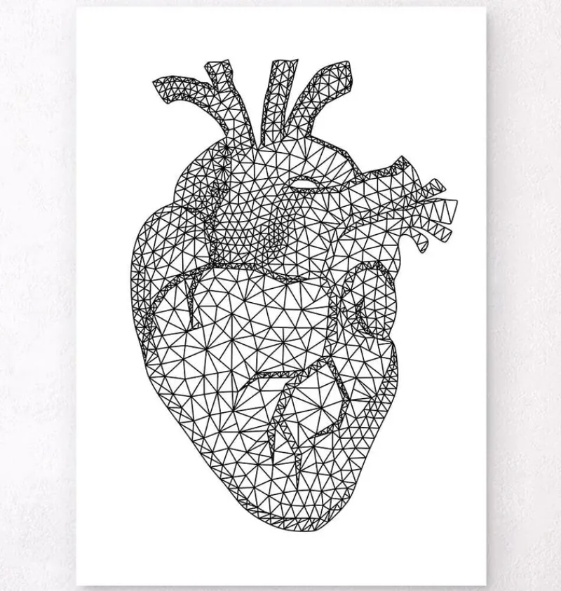 Codex Anatomicus Heart Anatomy^Minimal geometric heart