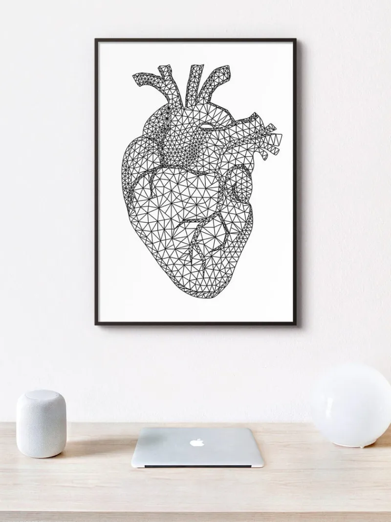 Codex Anatomicus Heart Anatomy^Minimal geometric heart