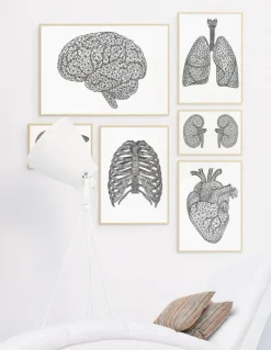 Codex Anatomicus Heart Anatomy^Minimal geometric heart