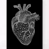 Codex Anatomicus Heart Anatomy^Minimal geometric heart - Black