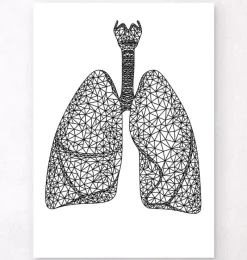 Codex Anatomicus Lungs Anatomy^Minimal geometric lungs