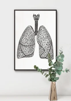 Codex Anatomicus Lungs Anatomy^Minimal geometric lungs