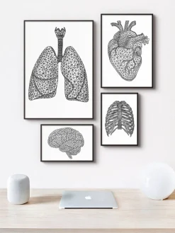Codex Anatomicus Lungs Anatomy^Minimal geometric lungs