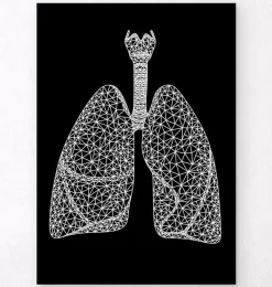 Codex Anatomicus Lungs Anatomy^Minimal geometric lungs - Black