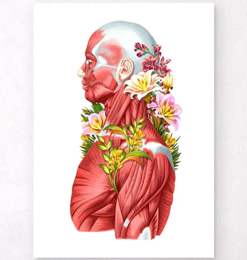 Codex Anatomicus Full Body Anatomy^Muscles side view - Floral - White