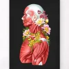 Codex Anatomicus Full Body Anatomy^Muscles side view - Floral - Black