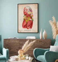 Codex Anatomicus Full Body Anatomy^Muscles side view - Floral - Vintage