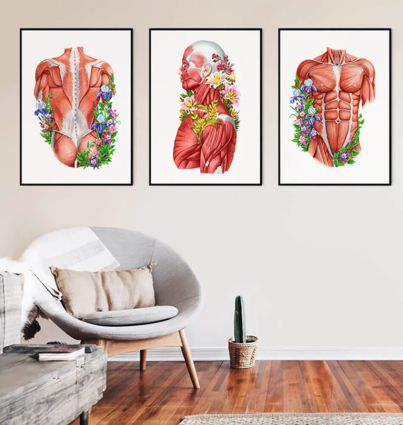 Codex Anatomicus Full Body Anatomy^Muscles side view - Floral - White