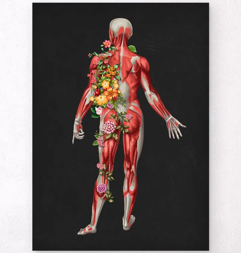 Codex Anatomicus Full Body Anatomy^Muscular system, back - Floral - Black