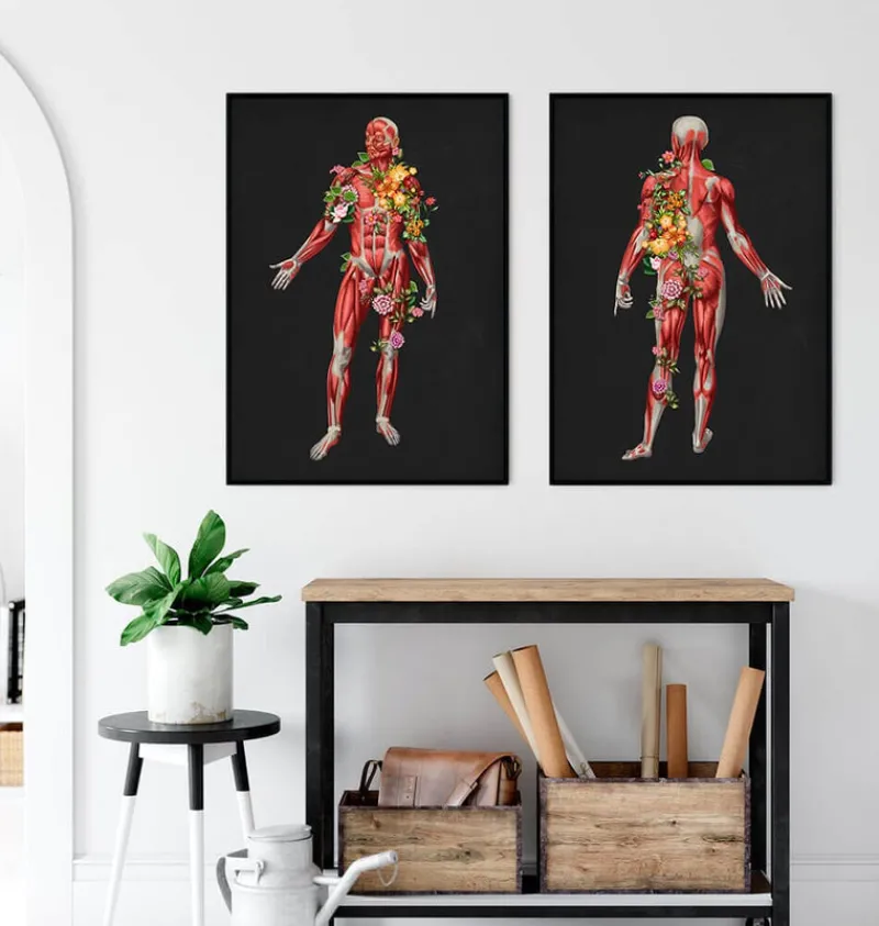 Codex Anatomicus Full Body Anatomy^Muscular system, back - Floral - Black