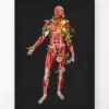 Codex Anatomicus Full Body Anatomy^Muscular system, front - Floral - Black