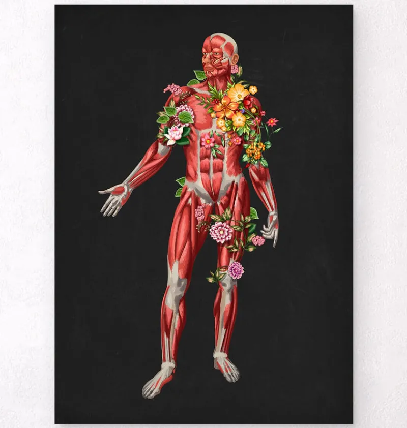 Codex Anatomicus Full Body Anatomy^Muscular system, front - Floral - Black