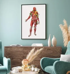 Codex Anatomicus Full Body Anatomy^Muscular system, front - Floral - White