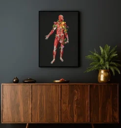 Codex Anatomicus Full Body Anatomy^Muscular system, front - Floral - Black