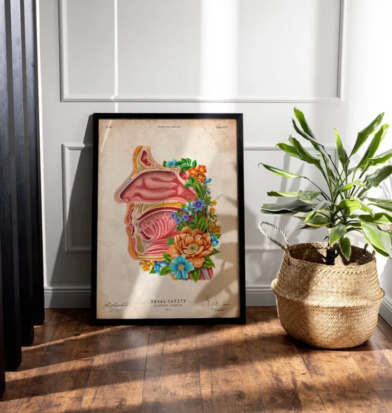 Codex Anatomicus Head & Face^Nasal cavity - Floral - Vintage