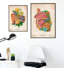 Codex Anatomicus Head & Face^Nasal cavity - Floral - Vintage