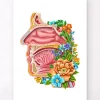 Codex Anatomicus Head & Face^Nasal cavity - Floral - White
