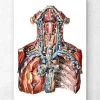 Codex Anatomicus Various Organs | Head & Face^Neck arteries and lymphatic system anatomy art