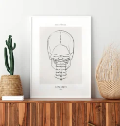 Codex Anatomicus Skull & Skeleton^Neck bones - Line Art