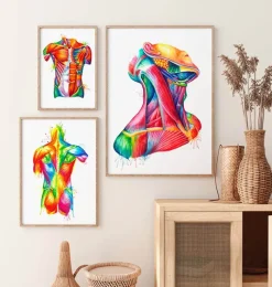 Codex Anatomicus Head & Face^Neck muscles anatomy art - Watercolor splash