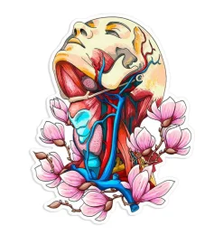Codex Anatomicus Stickers^Neck veins & arteries sticker - Floral