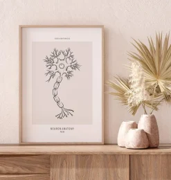 Codex Anatomicus Brain Anatomy^Neuron anatomy - Line Art