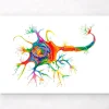 Codex Anatomicus Brain Anatomy^Neuron structure art - Watercolor splash