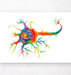 Codex Anatomicus Brain Anatomy^Neuron structure art - Watercolor splash