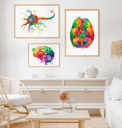 Codex Anatomicus Brain Anatomy^Neuron structure art - Watercolor splash