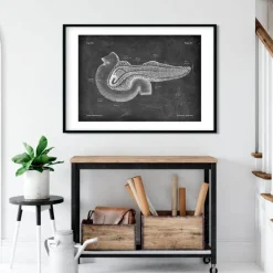 Codex Anatomicus Digestive System^Pancreas anatomy - Chalkboard
