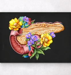 Codex Anatomicus Digestive System^Pancreas anatomy - Floral - Black