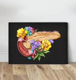 Codex Anatomicus Digestive System^Pancreas anatomy - Floral - Black