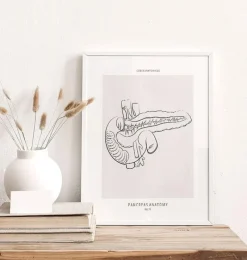 Codex Anatomicus Digestive System^Pancreas anatomy - Line Art