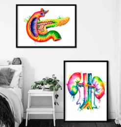 Codex Anatomicus Various Organs | Digestive System^Pancreas anatomy art - Watercolor splash