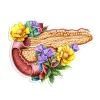 Codex Anatomicus Stickers^Pancreas anatomy sticker - Floral