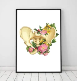 Codex Anatomicus Skull & Skeleton^Pelvis anatomy - Floral - White