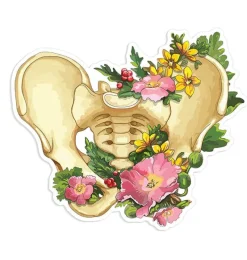 Codex Anatomicus Stickers^Pelvis anatomy sticker - Floral