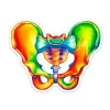 Codex Anatomicus Stickers^Pelvis anatomy sticker - Watercolor Splash